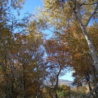 Весна в горах Улытау