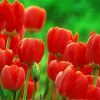 Весна в горах Улытау