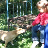 Город Жезказган