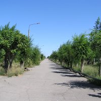 Город Жезказган