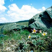 Окрестности и горы Улытау