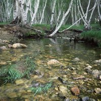 Окрестности и горы Улытау