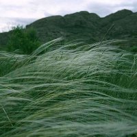 Окрестности и горы Улытау