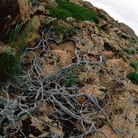 Окрестности и горы Улытау