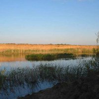 Окрестности и горы Улытау