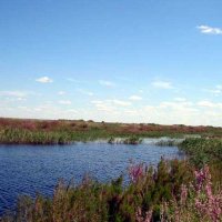 Окрестности и горы Улытау