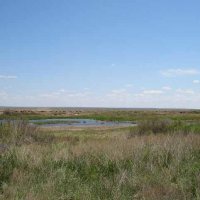 Окрестности и горы Улытау