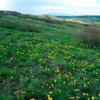 Окрестности и горы Улытау