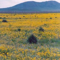 Окрестности и горы Улытау